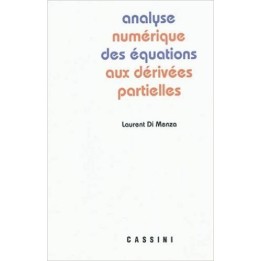 Analyse numérique des équations aux dérivées partielles