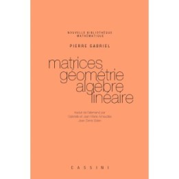 Matrices, géométrie, algèbre linéaire
