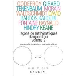 Leçons de mathématiques d'aujourd'hui, vol. 2