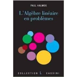 L'algèbre linéaire en problèmes